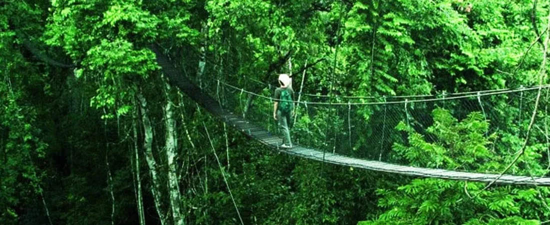 Aventure de luxe à la Reserva Amazonica Inkaterra - 3 jours