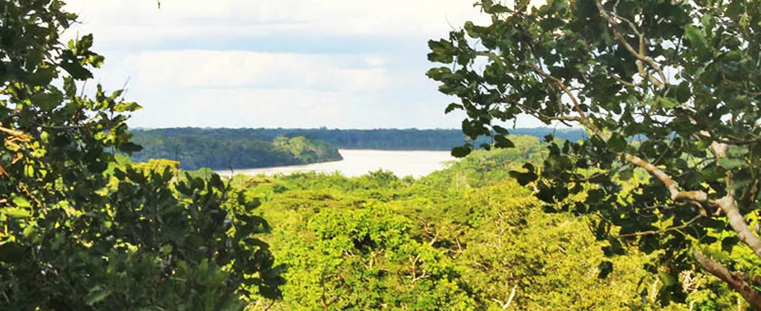 Extension <br> Amazonie, 5 jours